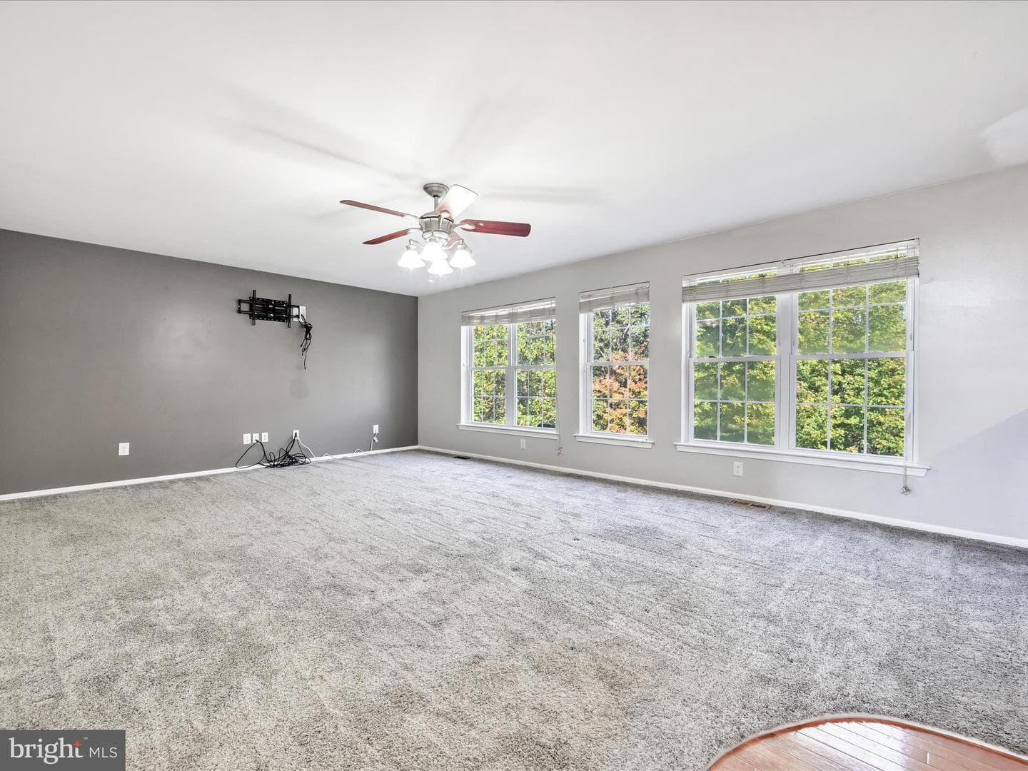 83 Kelsey Drive photo 20
