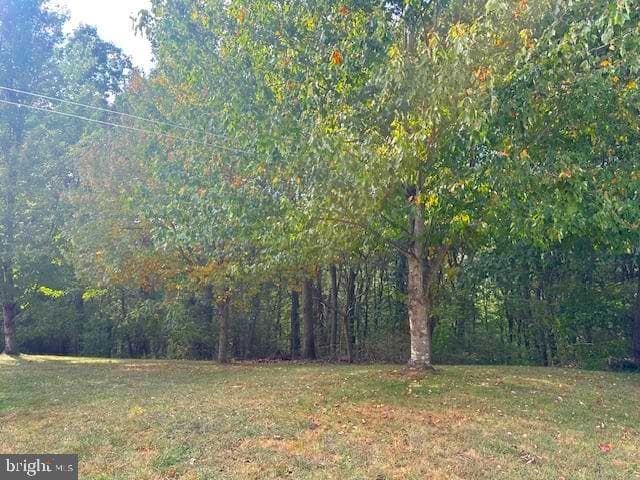 83 Kelsey Drive photo 38
