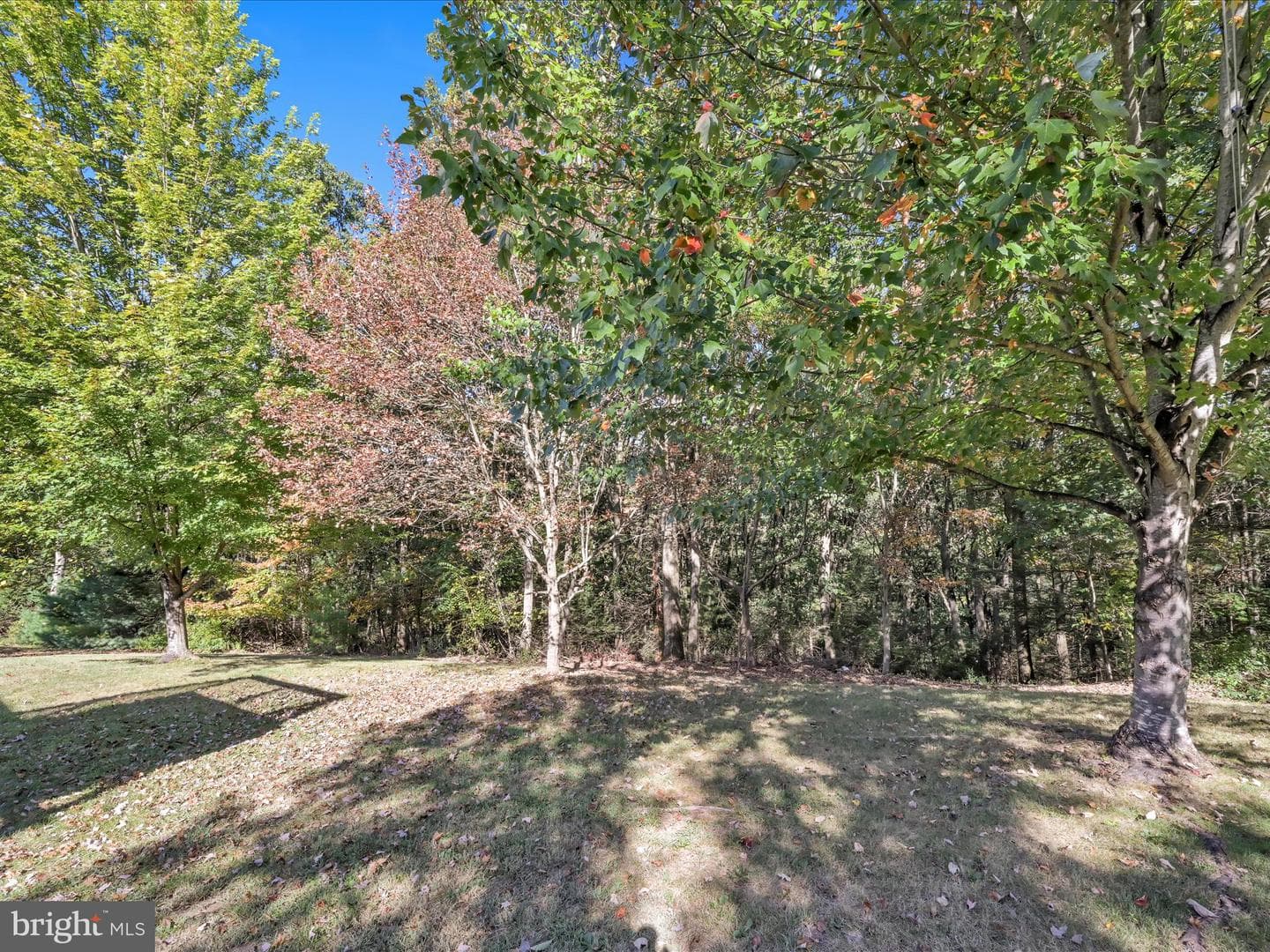 83 Kelsey Drive photo 39