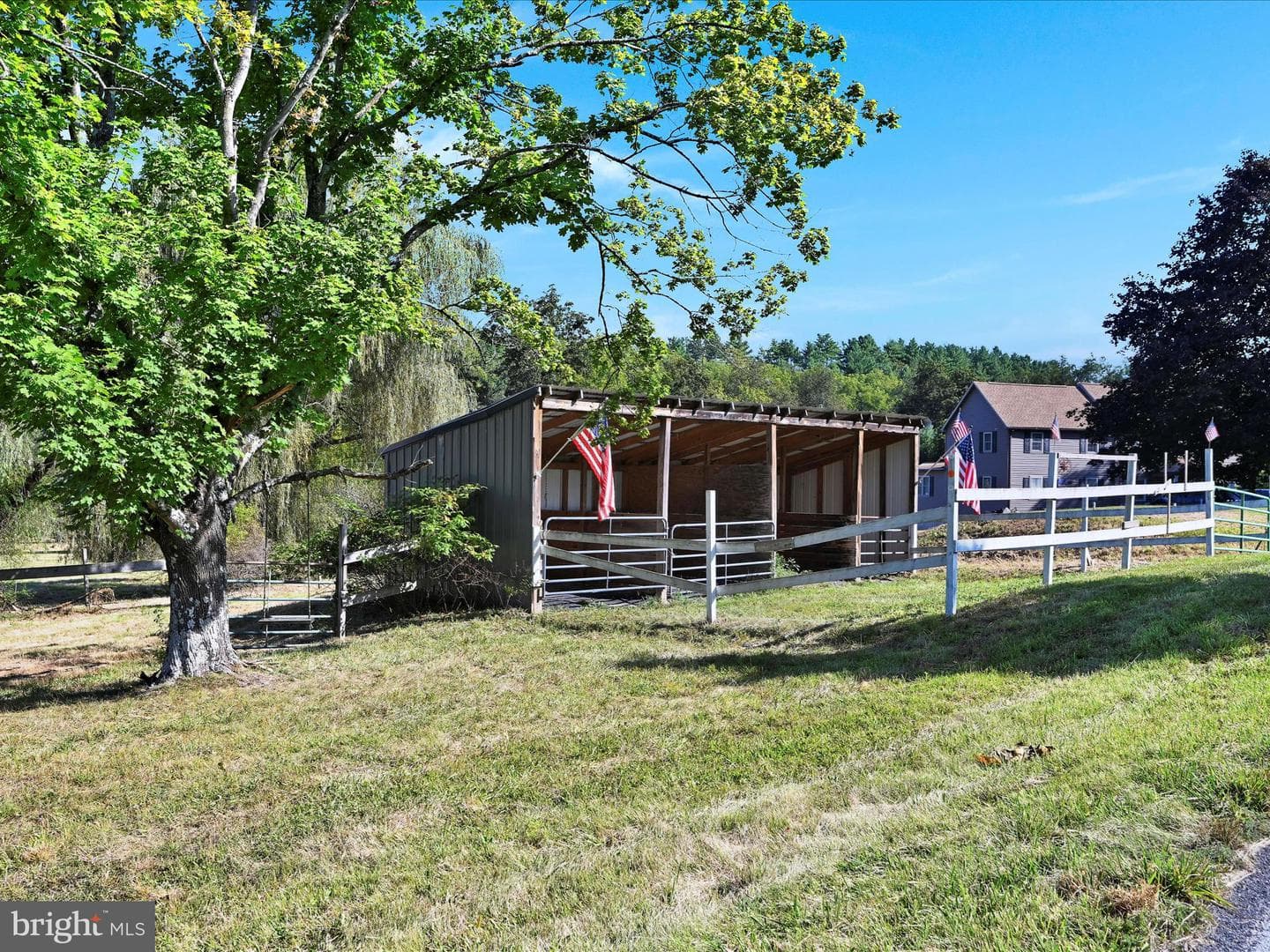 247 Meadow Drive photo 29