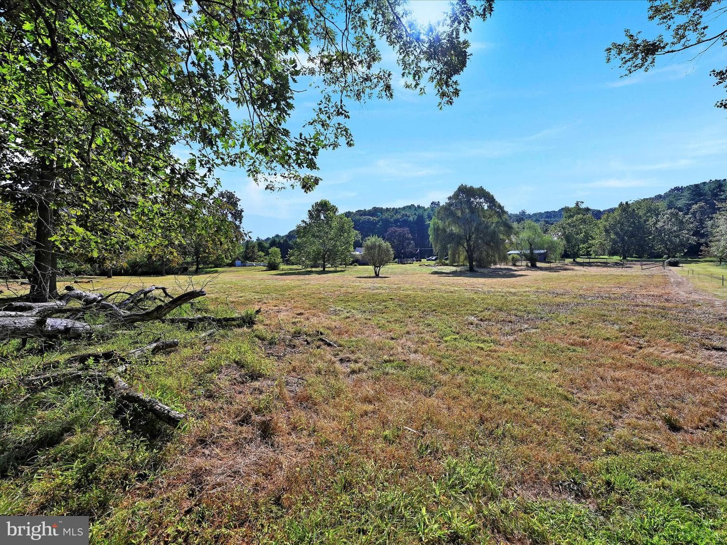 247 Meadow Drive photo 30