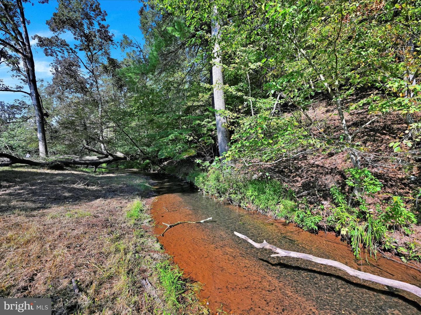 247 Meadow Drive photo 31