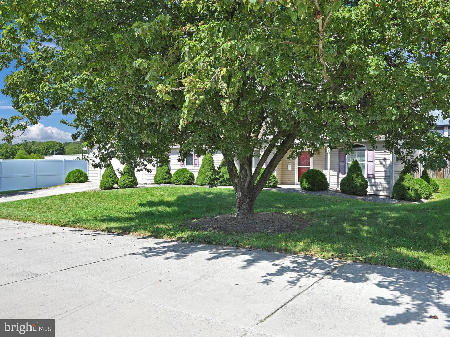 101 Juniper Court photo 5