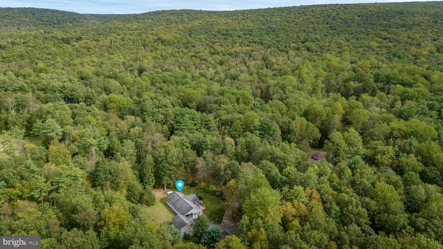 599 Blue Mountain Drive photo 20