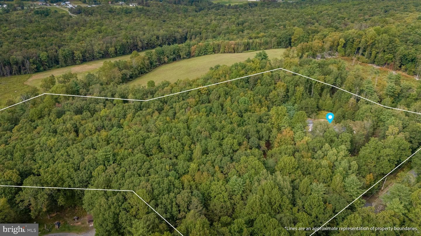 599 Blue Mountain Drive photo 26