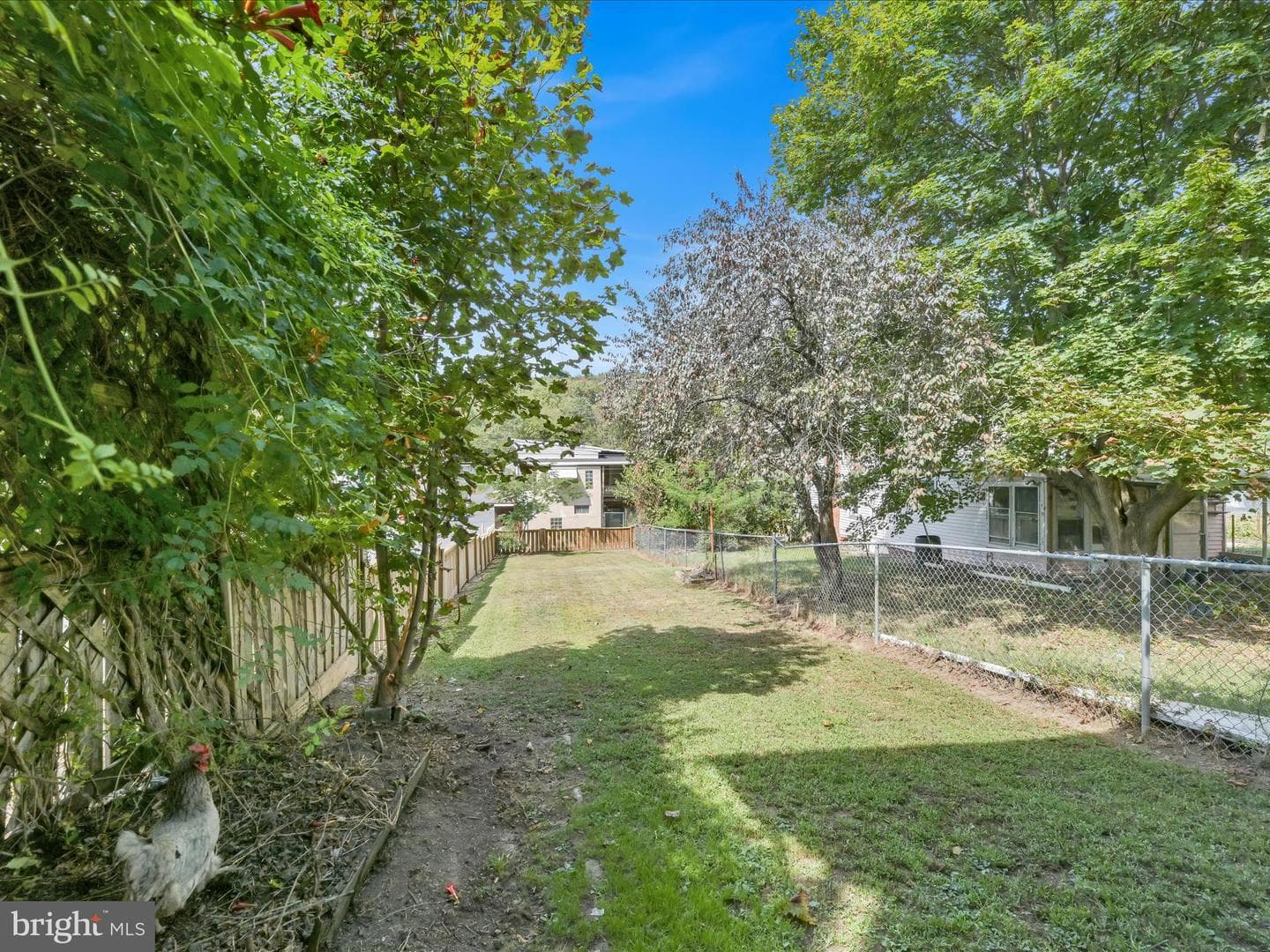 401 N 5th Street photo 24