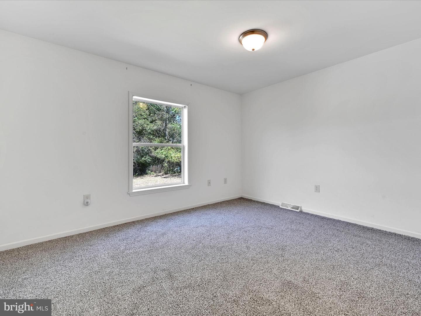 307 Wilson Avenue photo 21