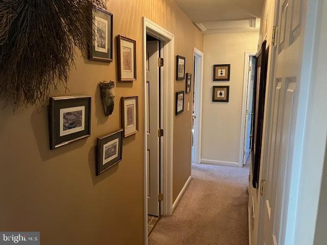 1371 Teepee Drive photo 14