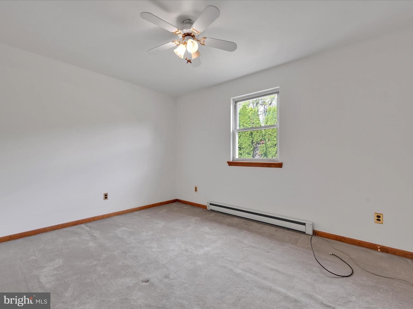 1165 Custer Drive photo 14