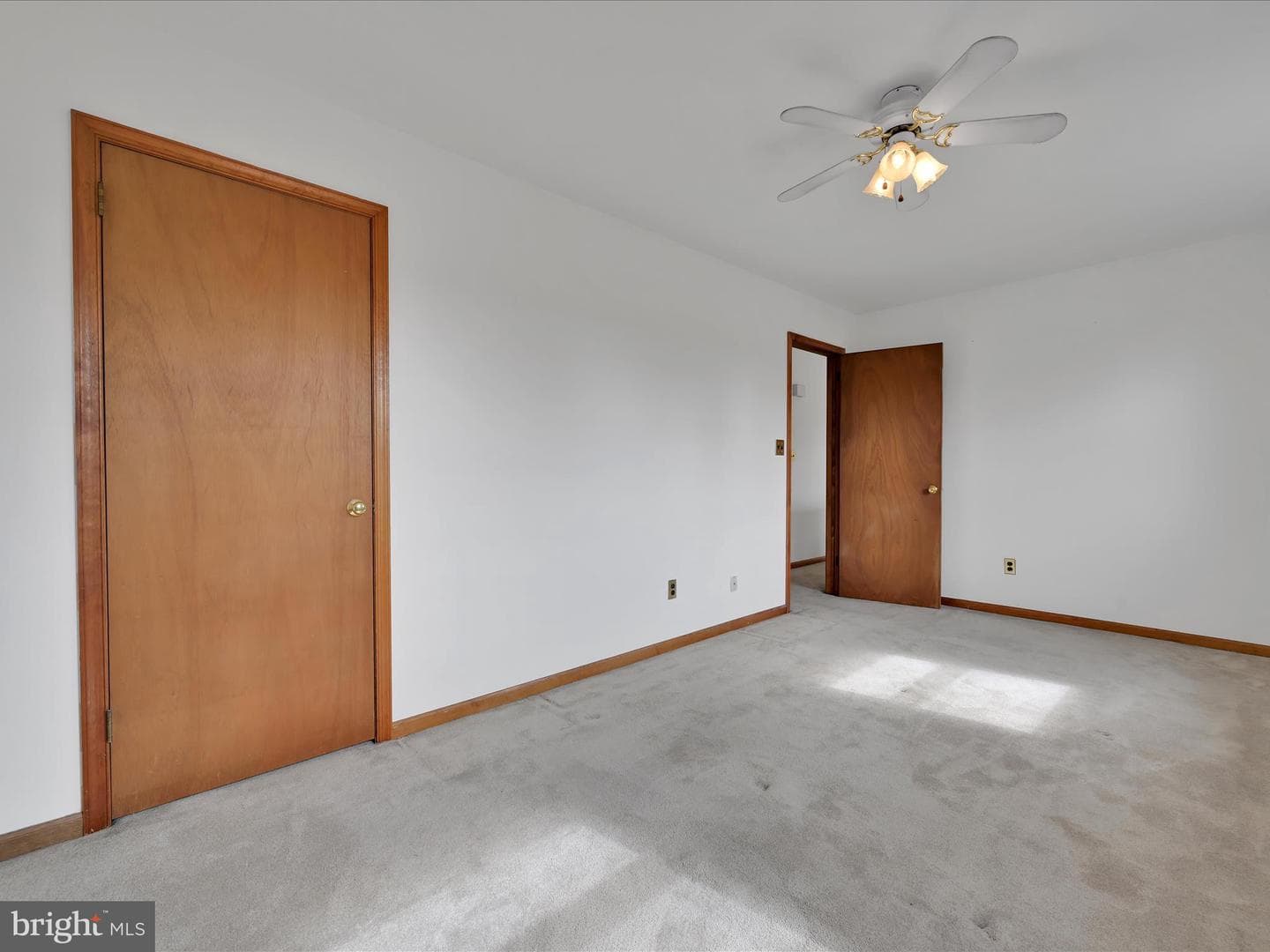 1165 Custer Drive photo 16