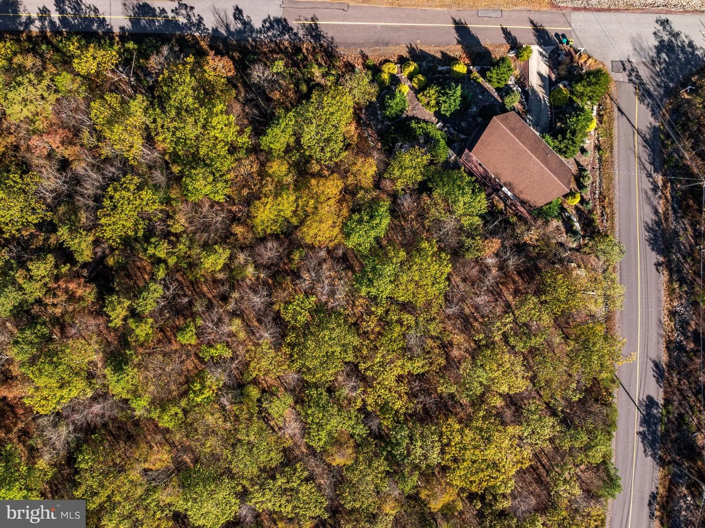 29 Blackhawk Boulevard photo 26