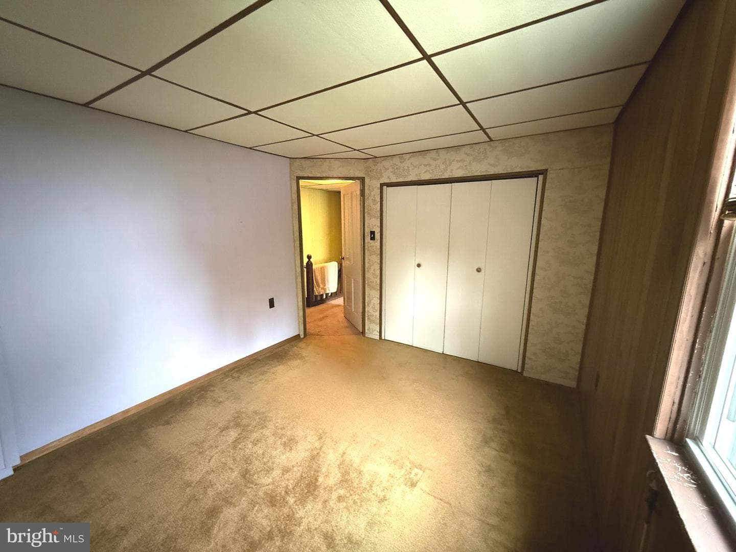 446 Biddle Street photo 11