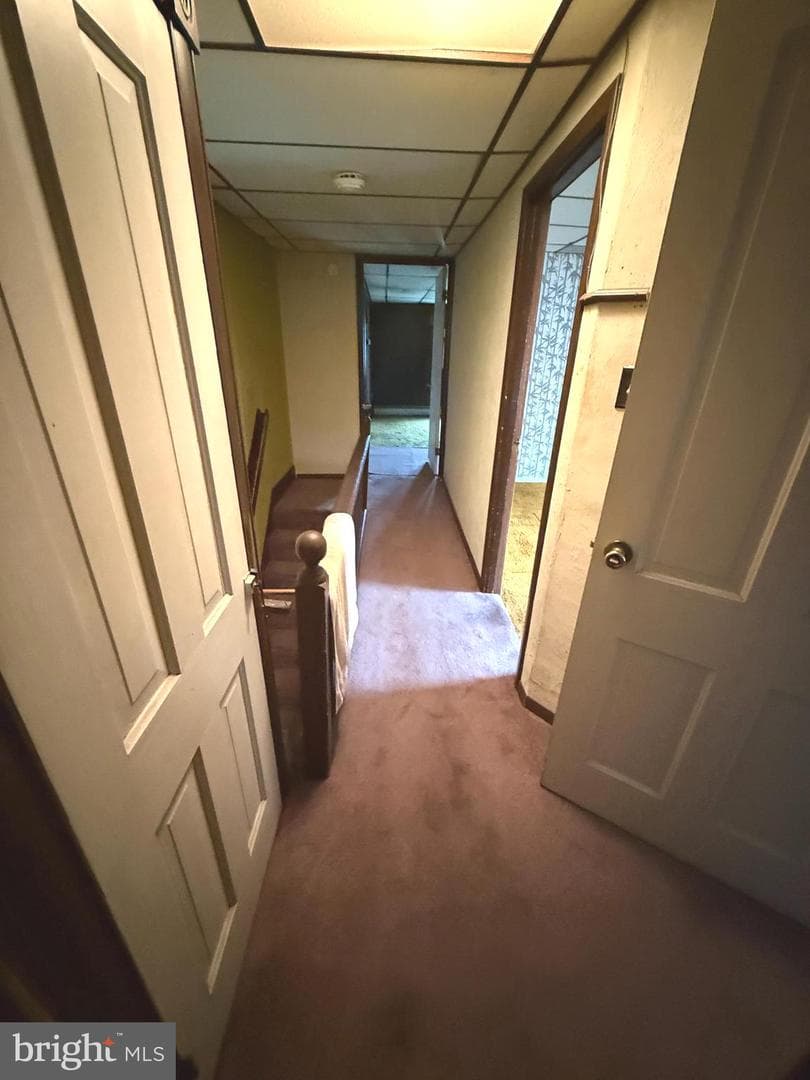 446 Biddle Street photo 9
