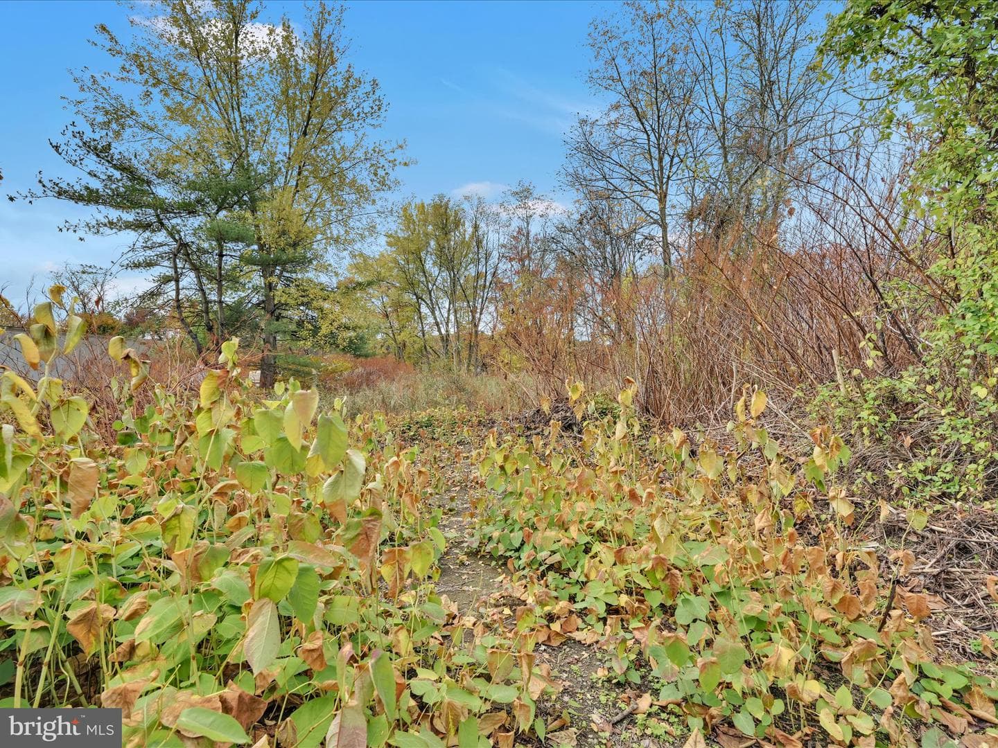 665 Port Carbon St Clair Highway photo 24