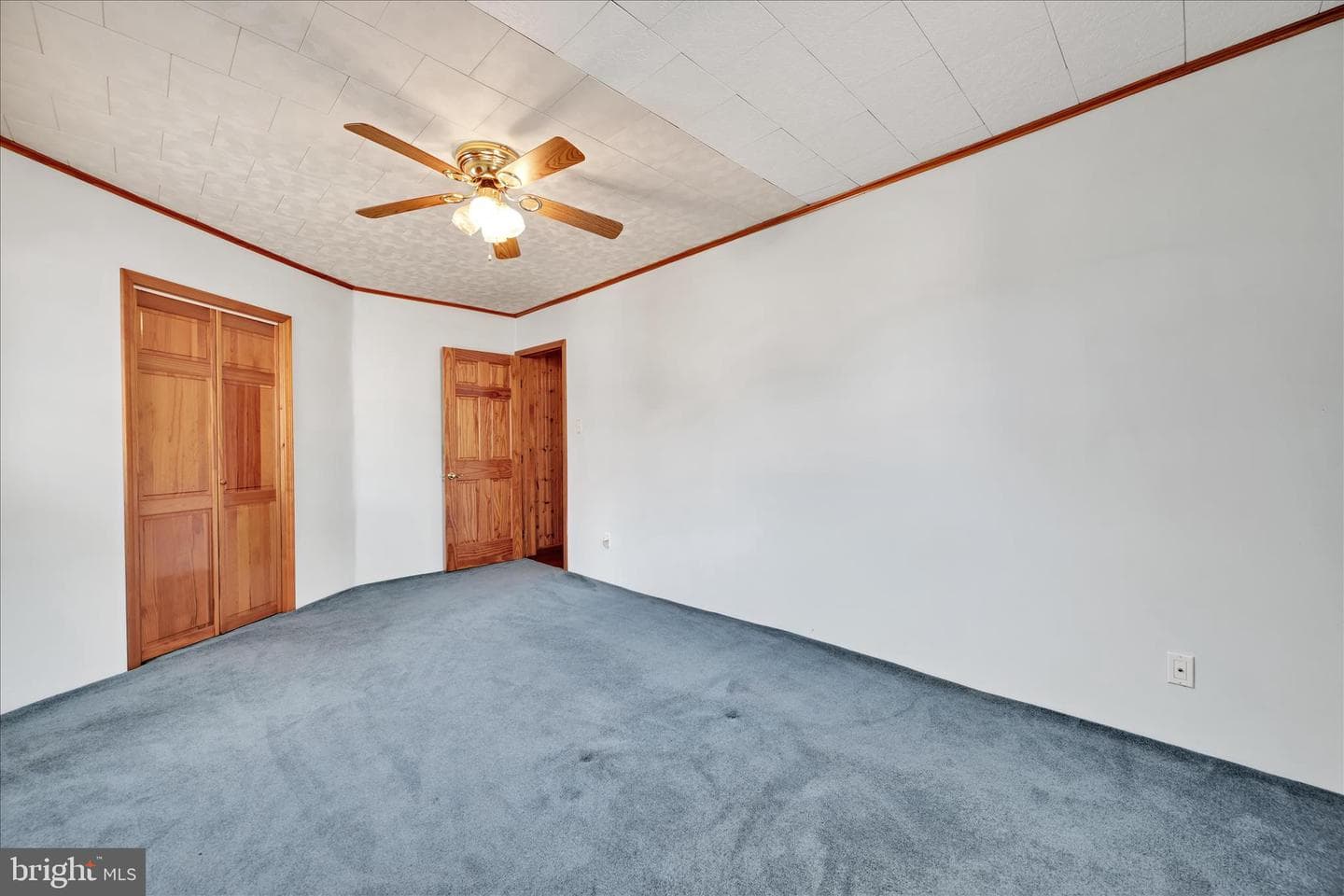 283 S Tulpehocken Street photo 17