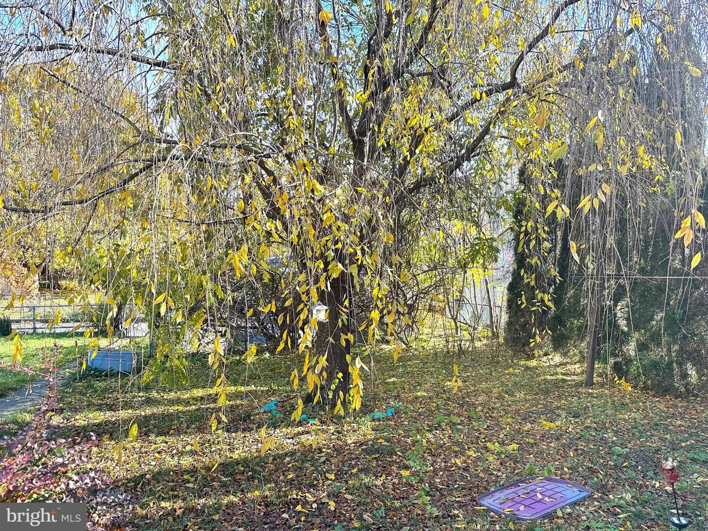 225 Cherry Street photo 37