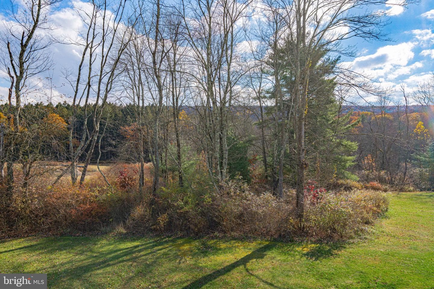 258 Owl Creek Road photo 47