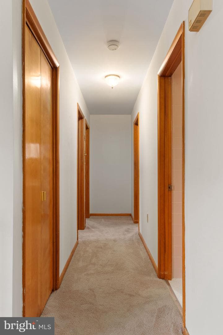 201 Arlene Street photo 20