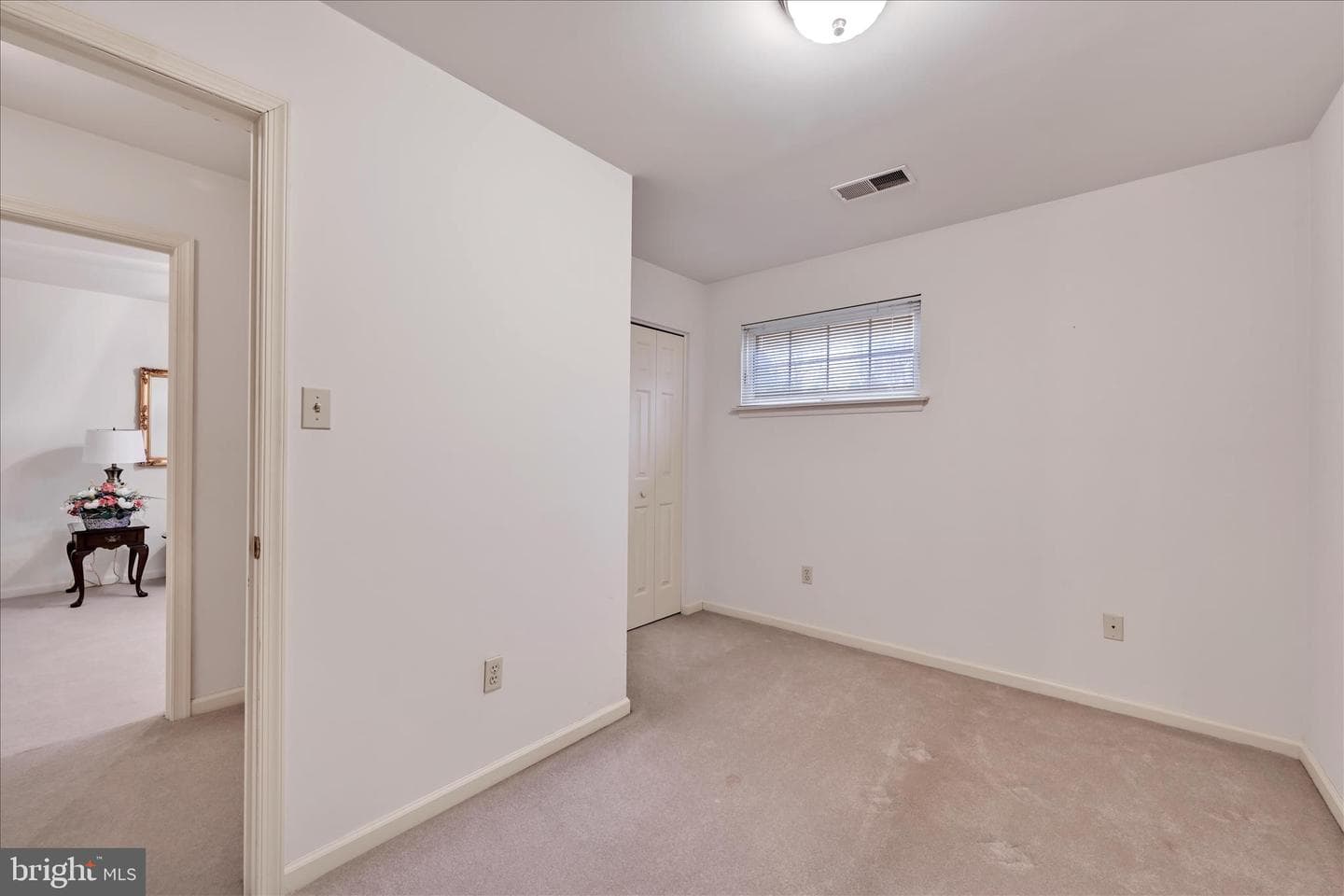 313 Lantern Green Way photo 28
