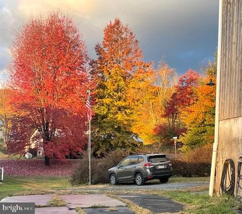 7 N Oak Lane photo 12