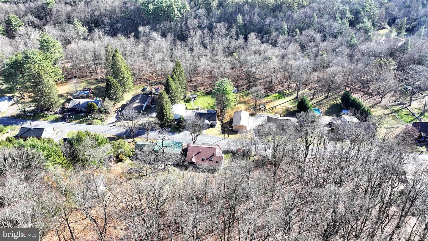 225 Owl Creek Road photo 3