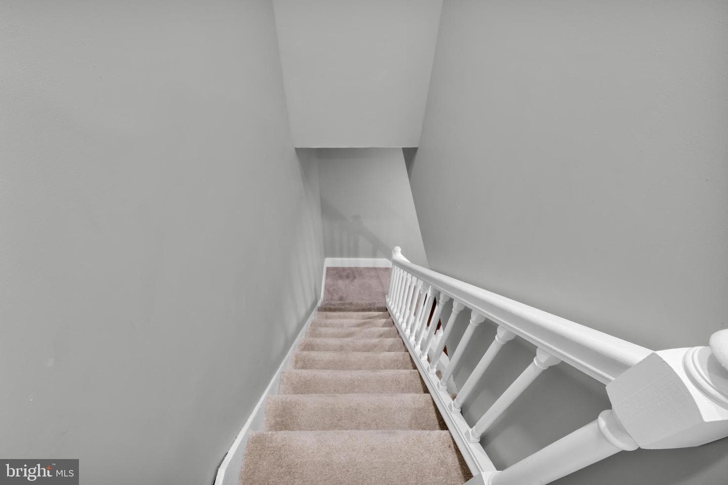 504 Pine Street photo 14