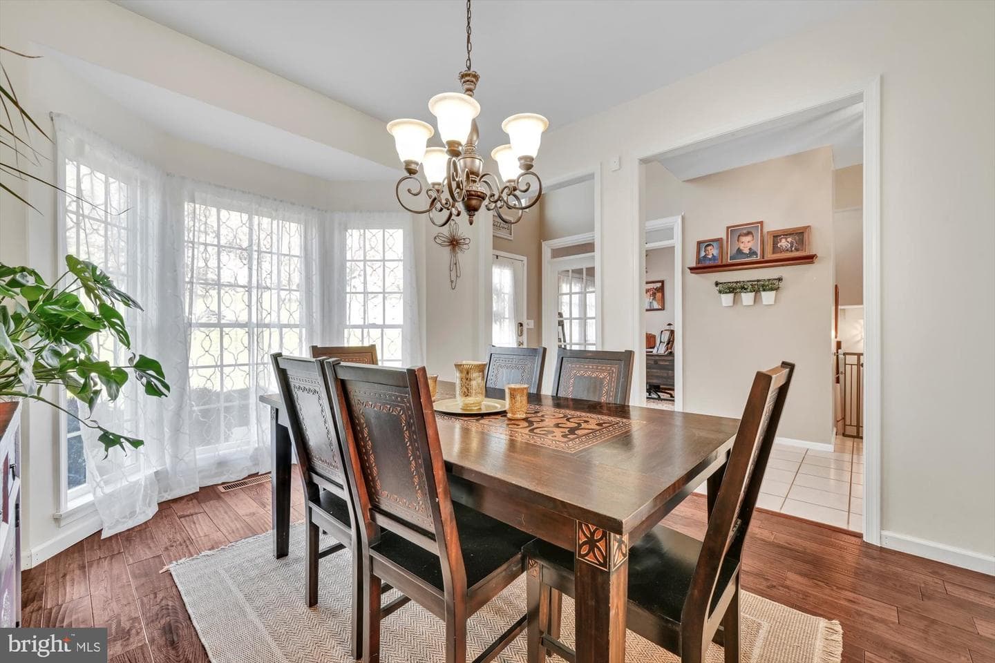 6 Jackson Road photo 9