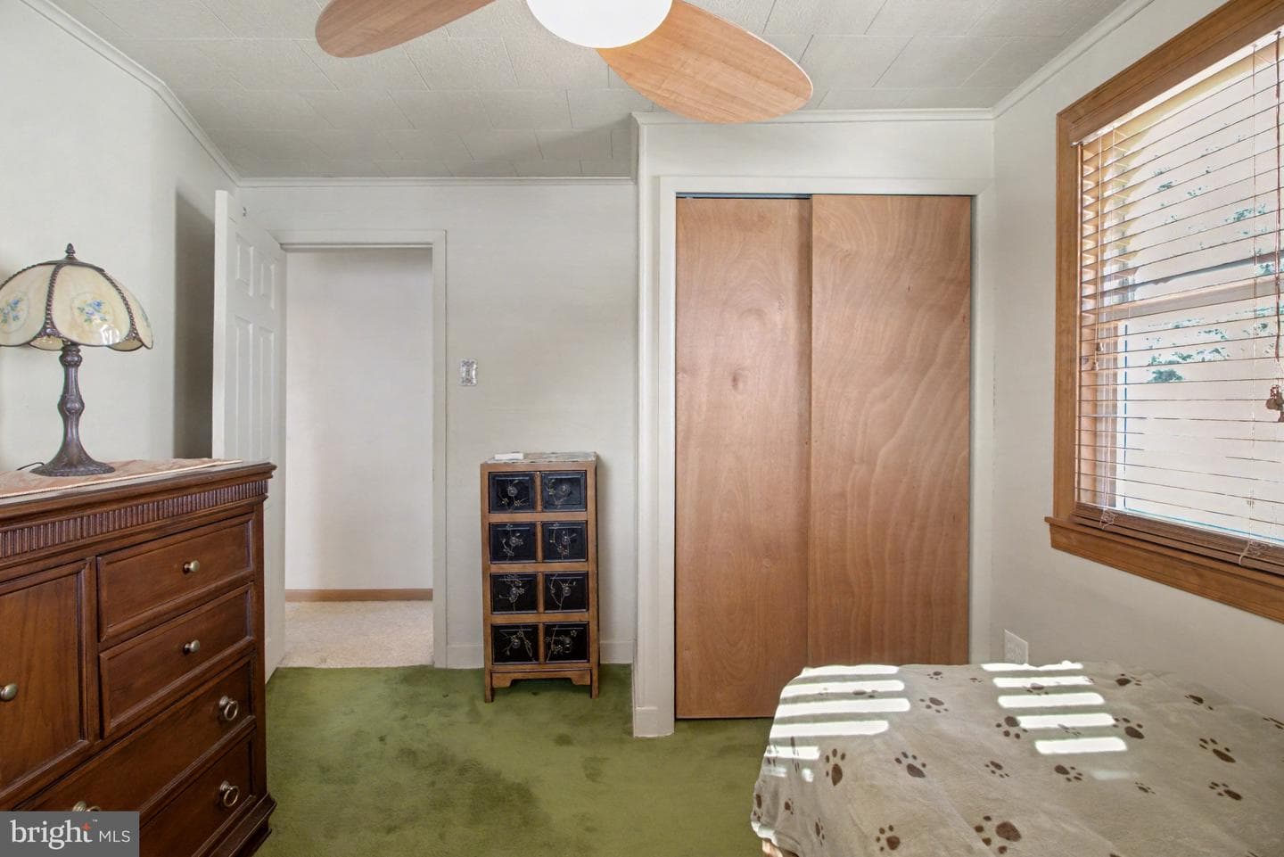 169 Weston Place photo 17