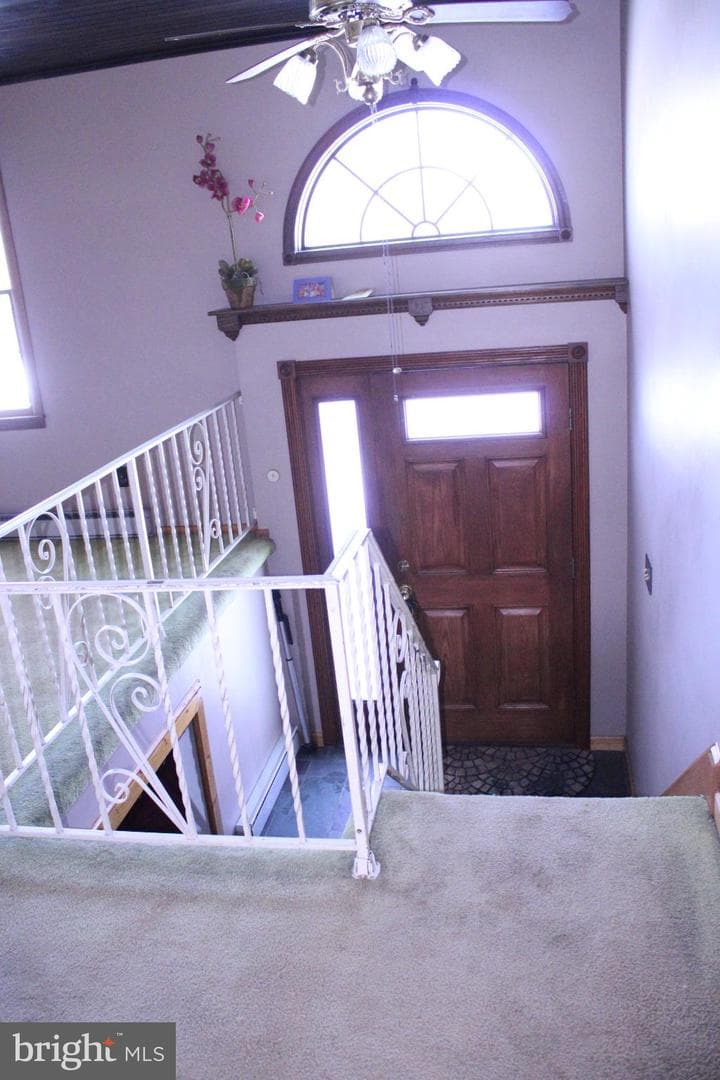 548 Willow photo 3
