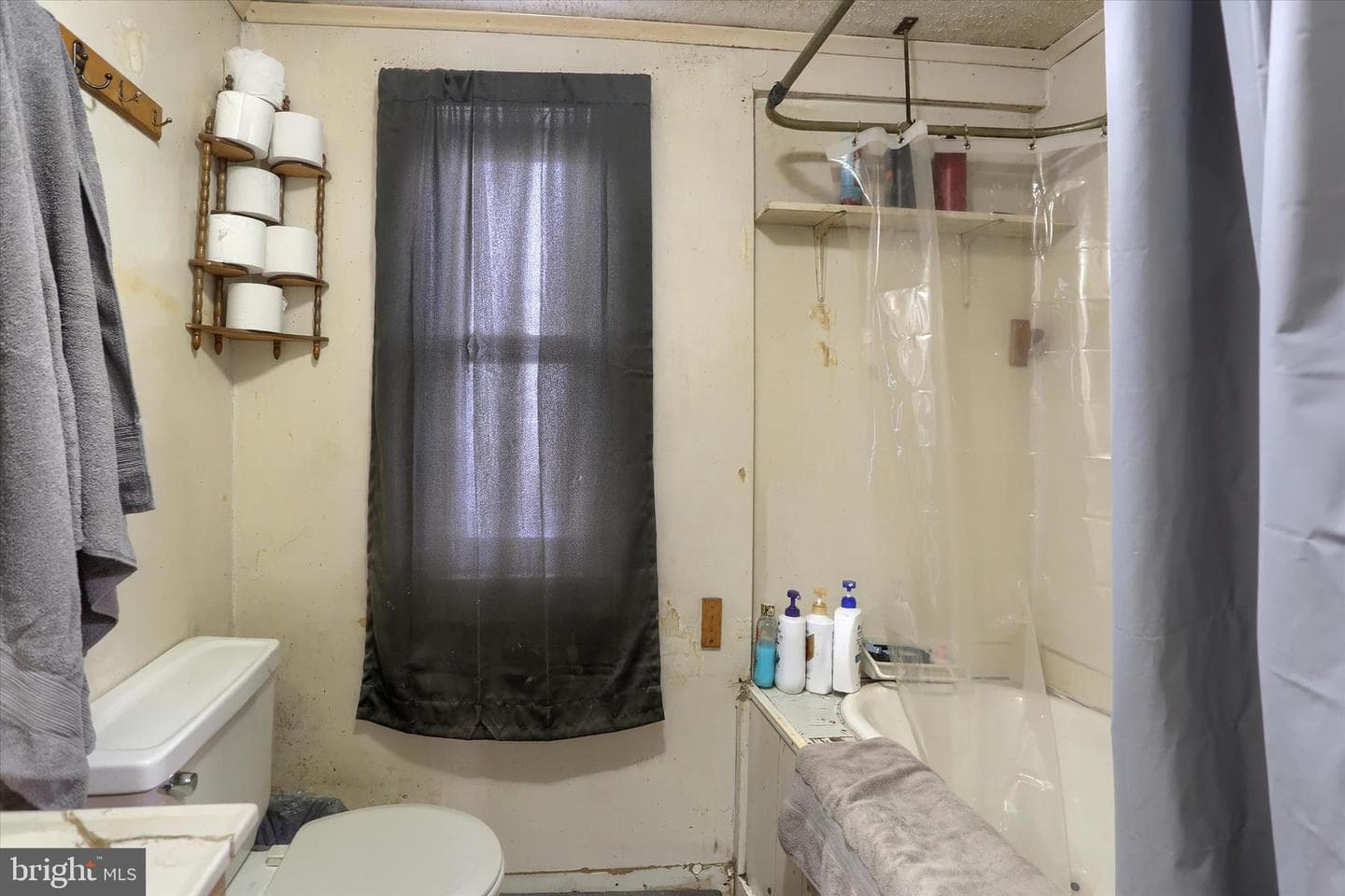 214 Bowe Street photo 15
