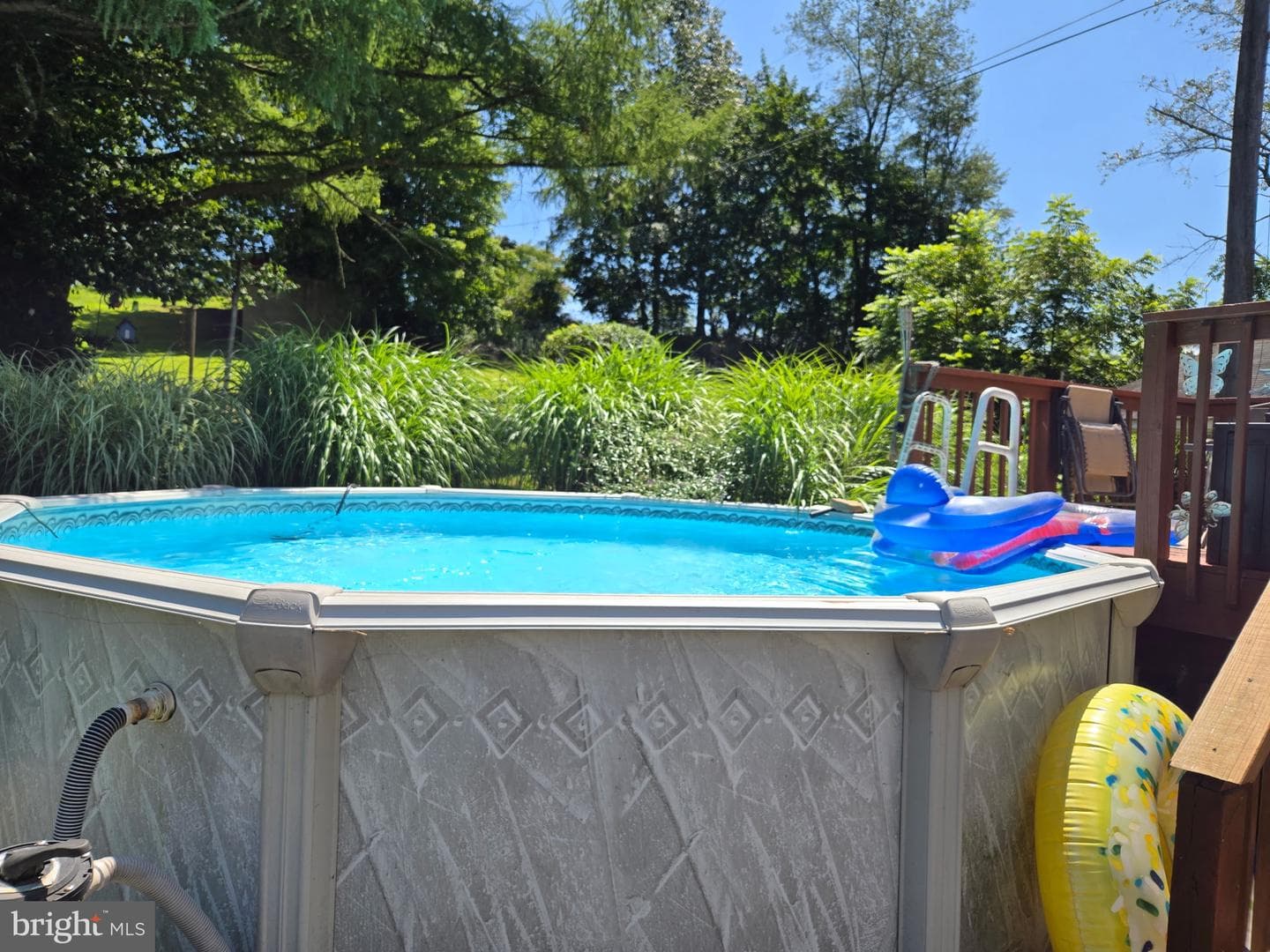 846 Bunting Street photo 40