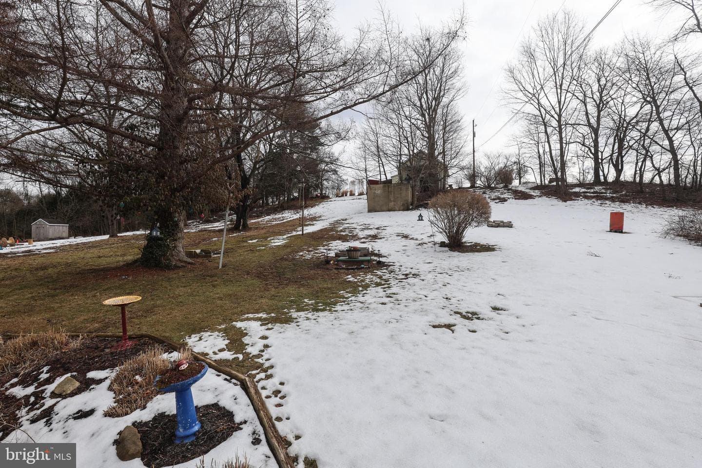 846 Bunting Street photo 42