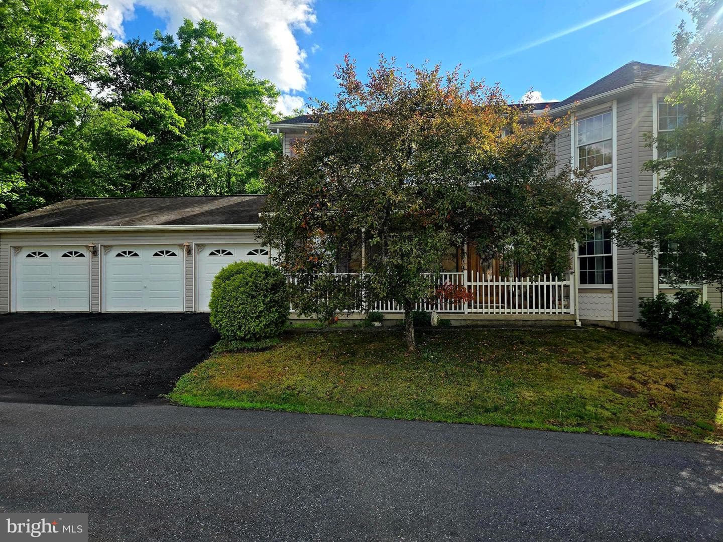 199 Coal Street, Seltzer