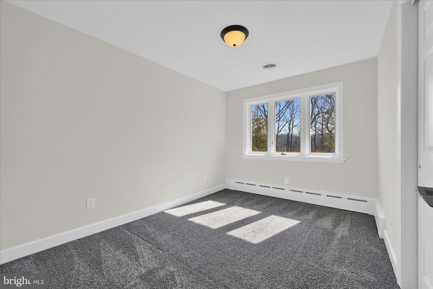 65 Hawk Lane photo 16