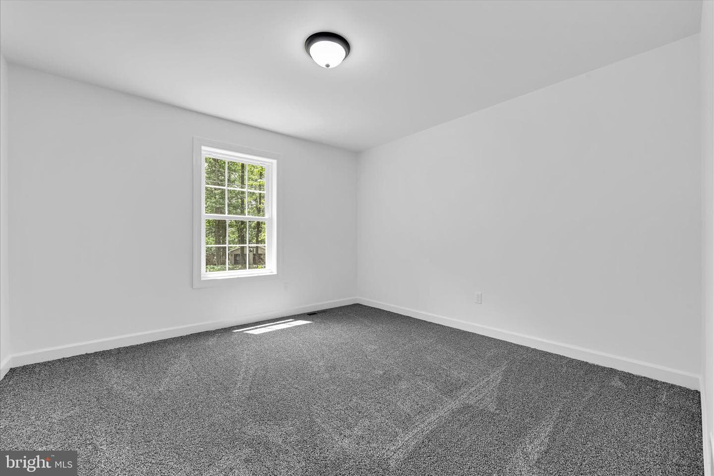 1799 Crazy Horse Drive photo 17