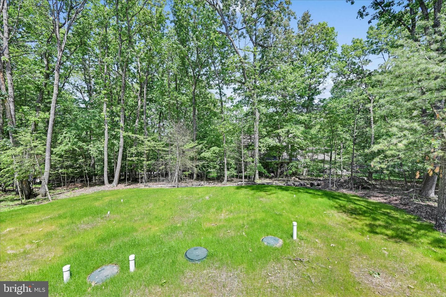 1799 Crazy Horse Drive photo 29