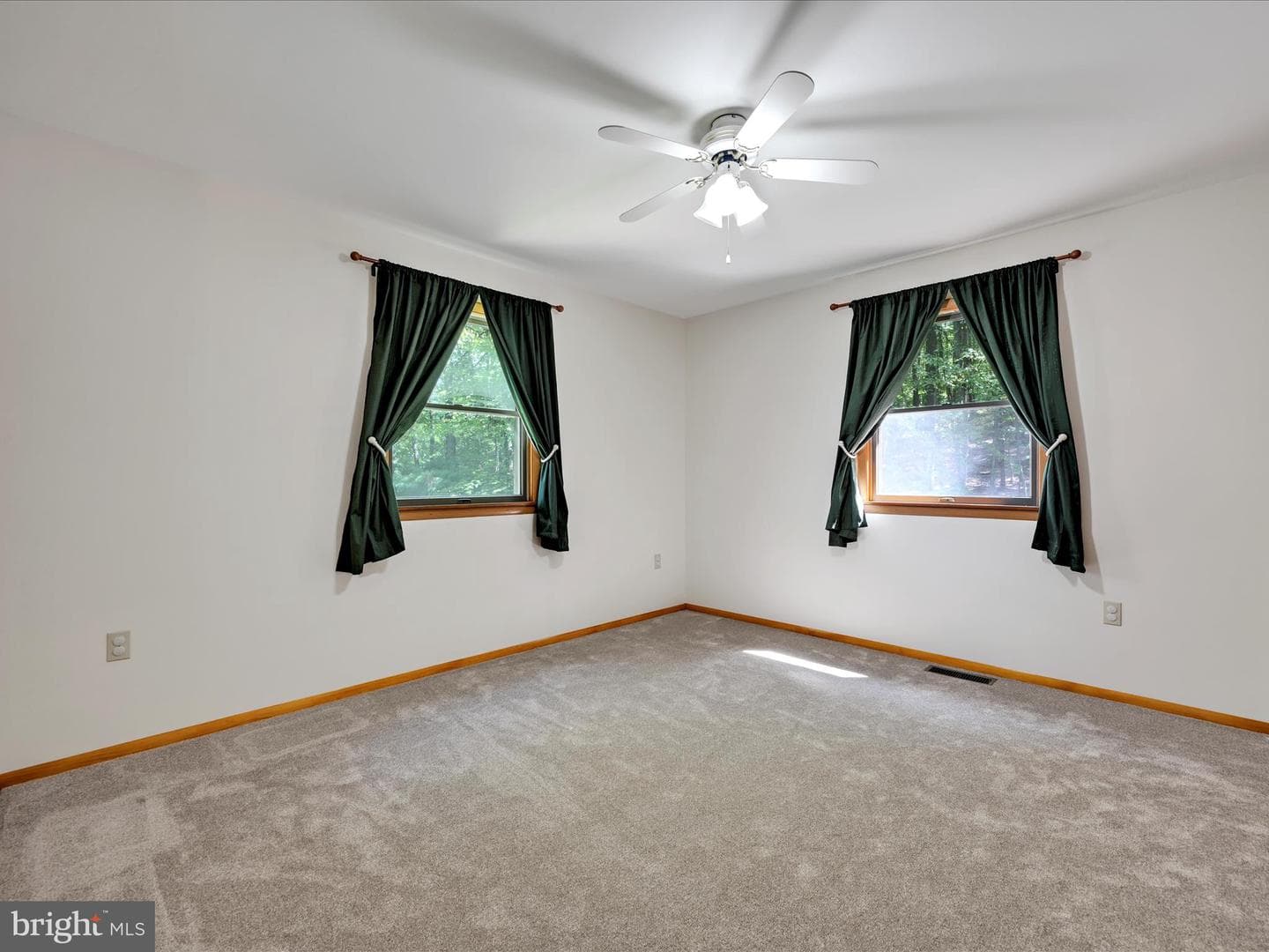 507 Whitetail Circle photo 15