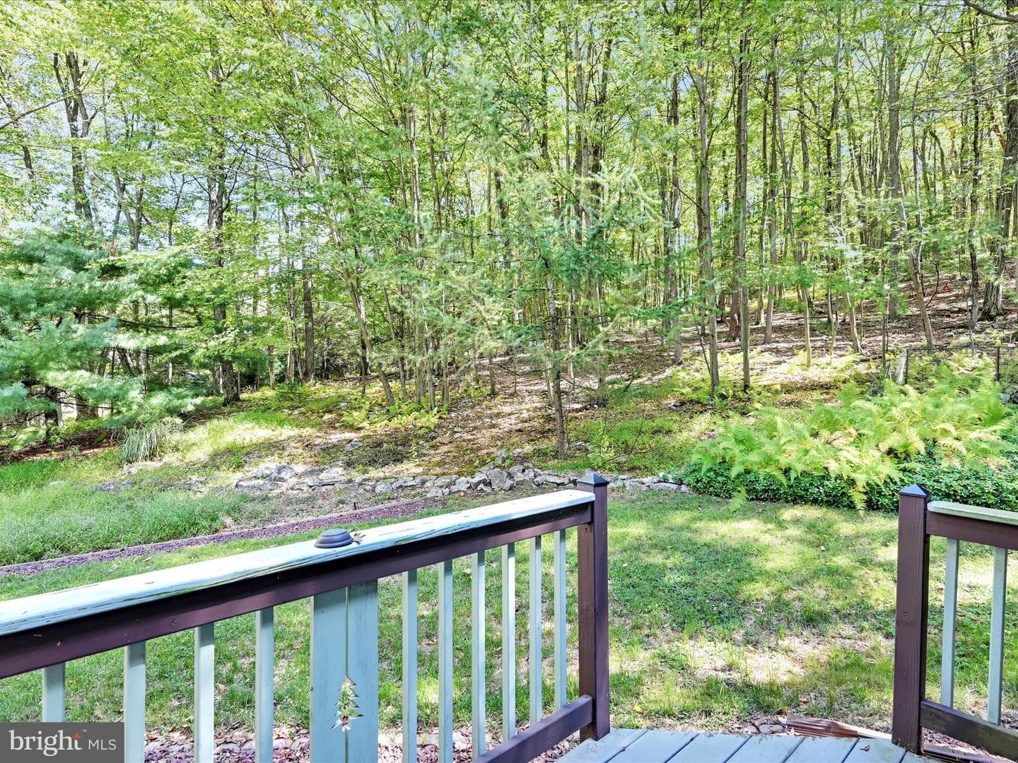 507 Whitetail Circle photo 28