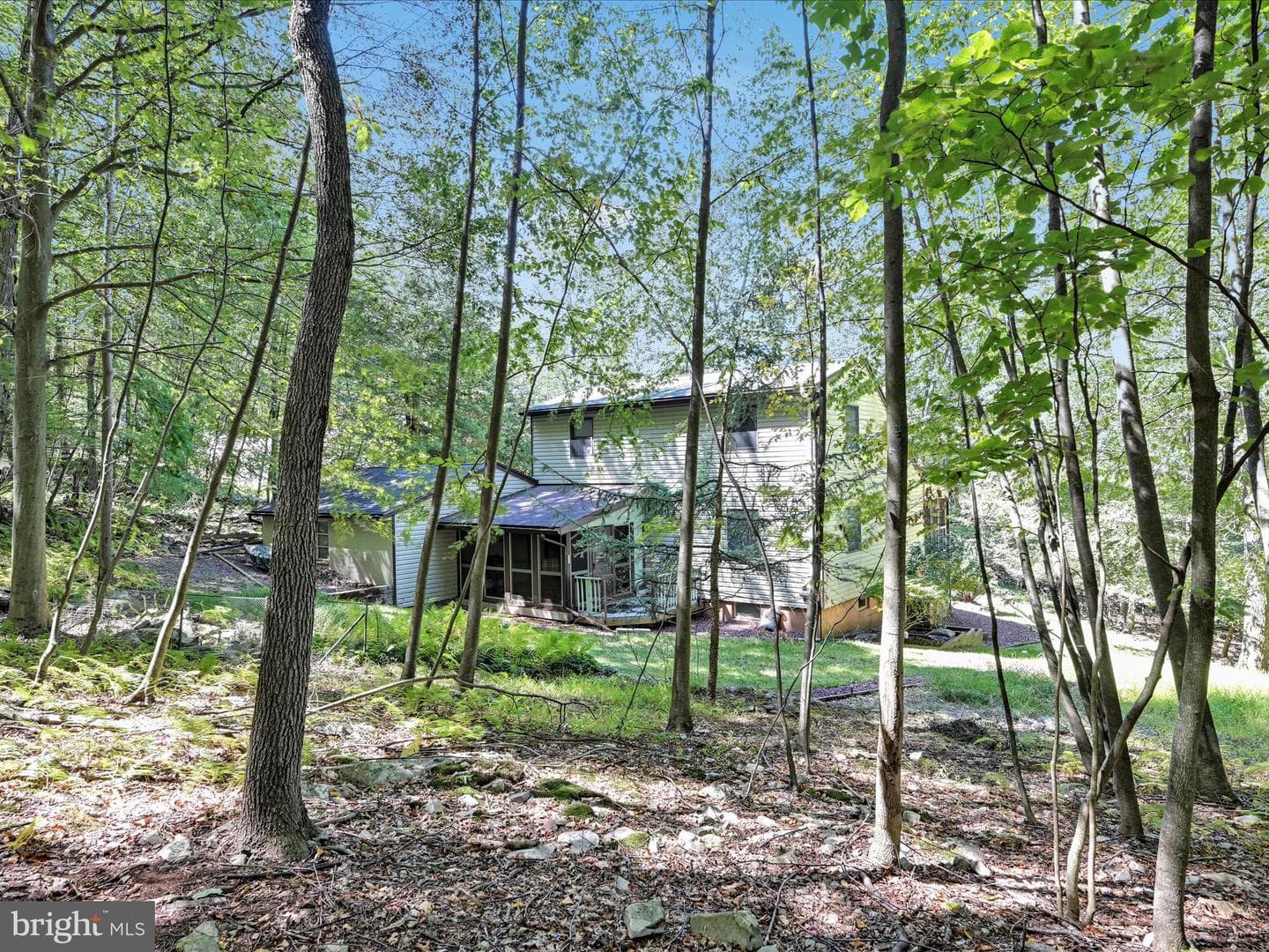 507 Whitetail Circle photo 29