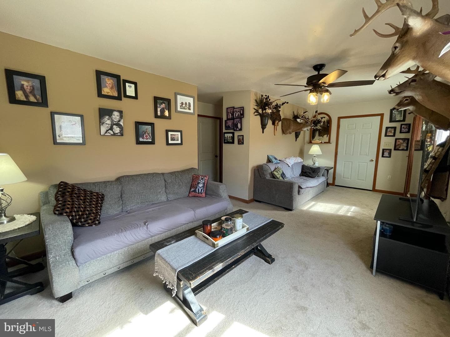 12 Thrush Hollow Lane photo 17