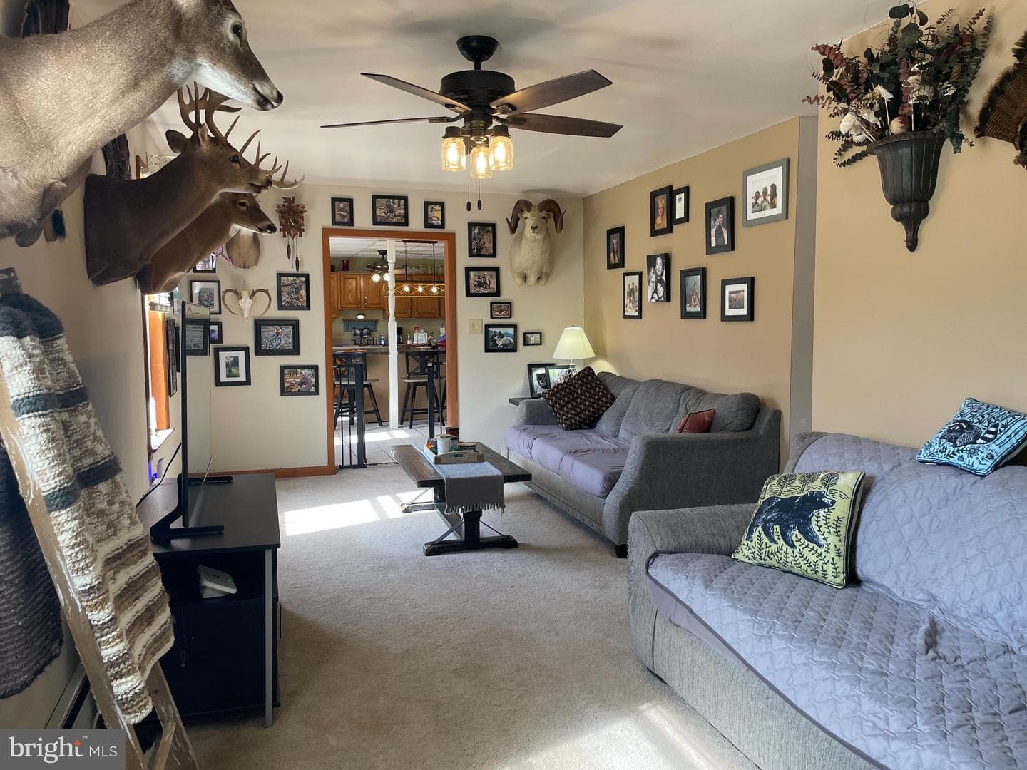 12 Thrush Hollow Lane photo 19