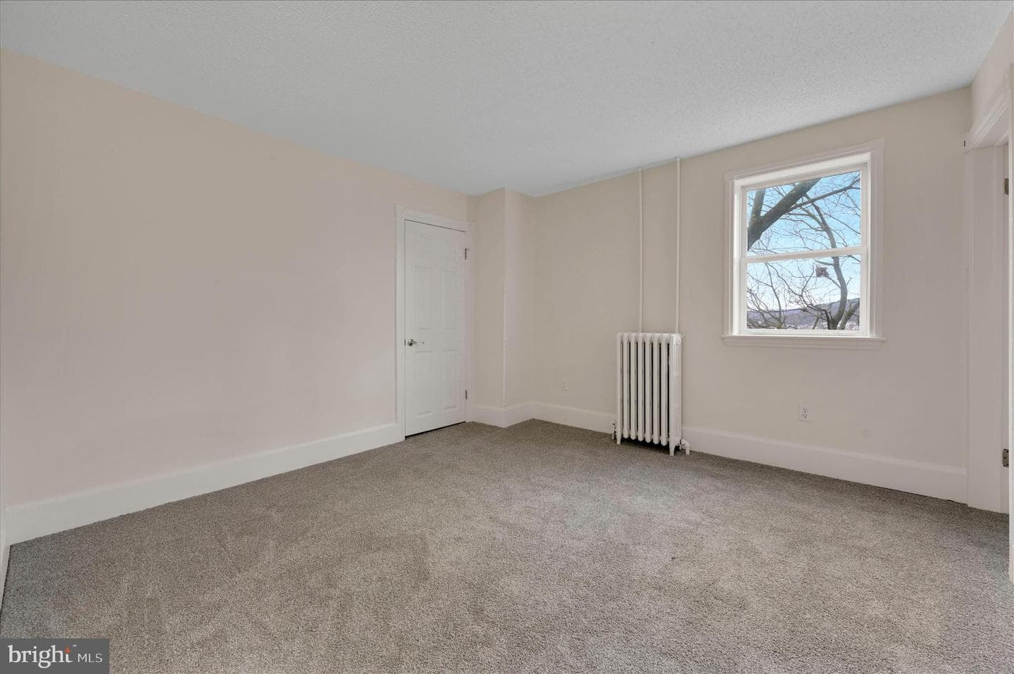 242 Van Gelder Street photo 17