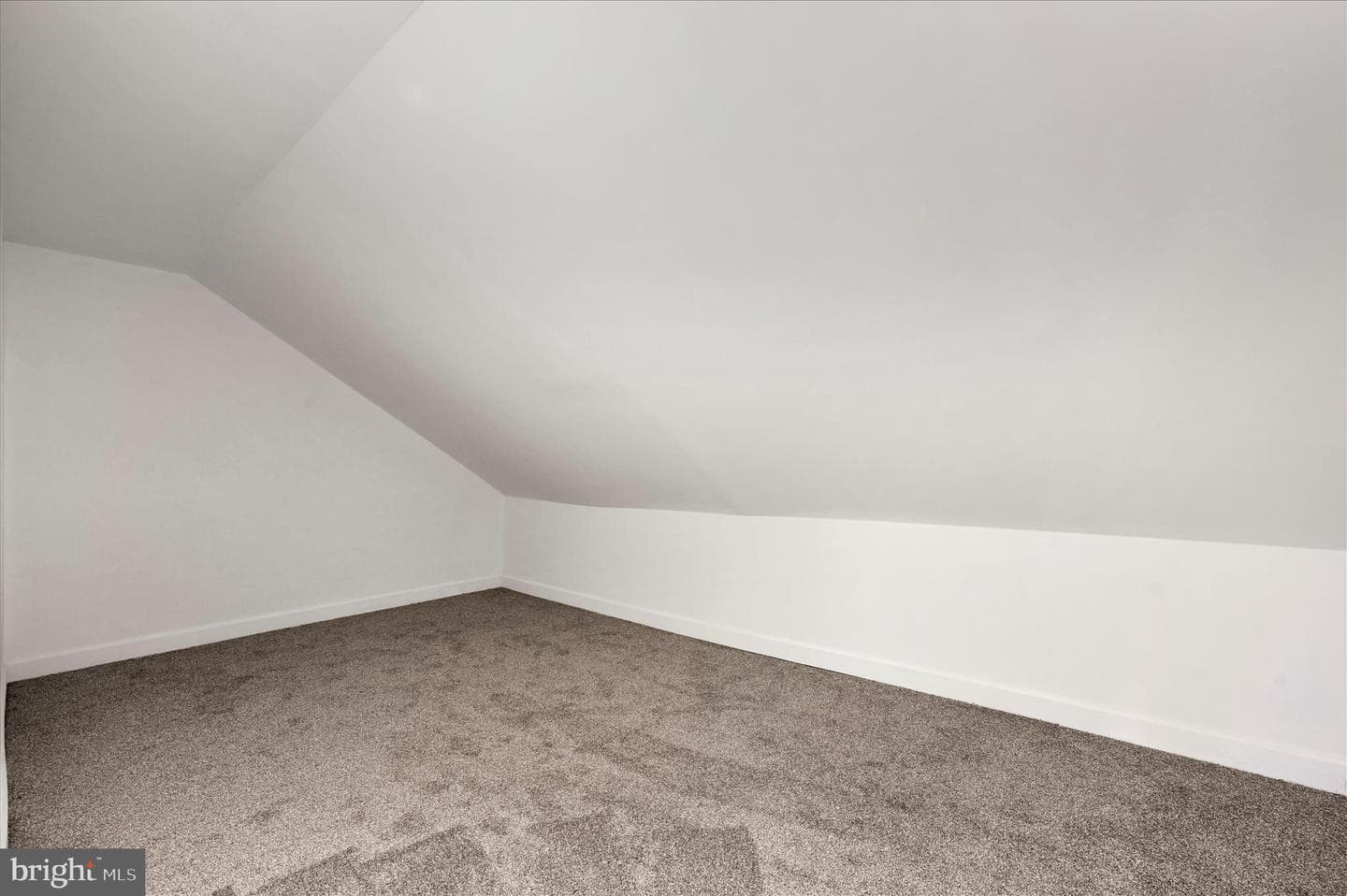 242 Van Gelder Street photo 23
