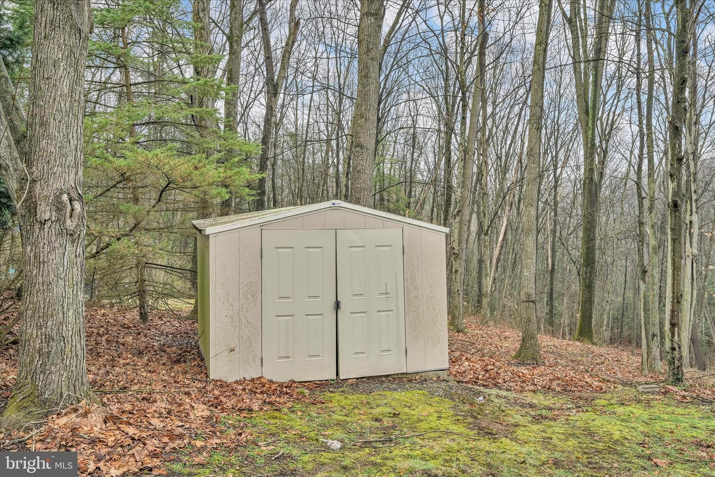 826 Pinewood Drive photo 39