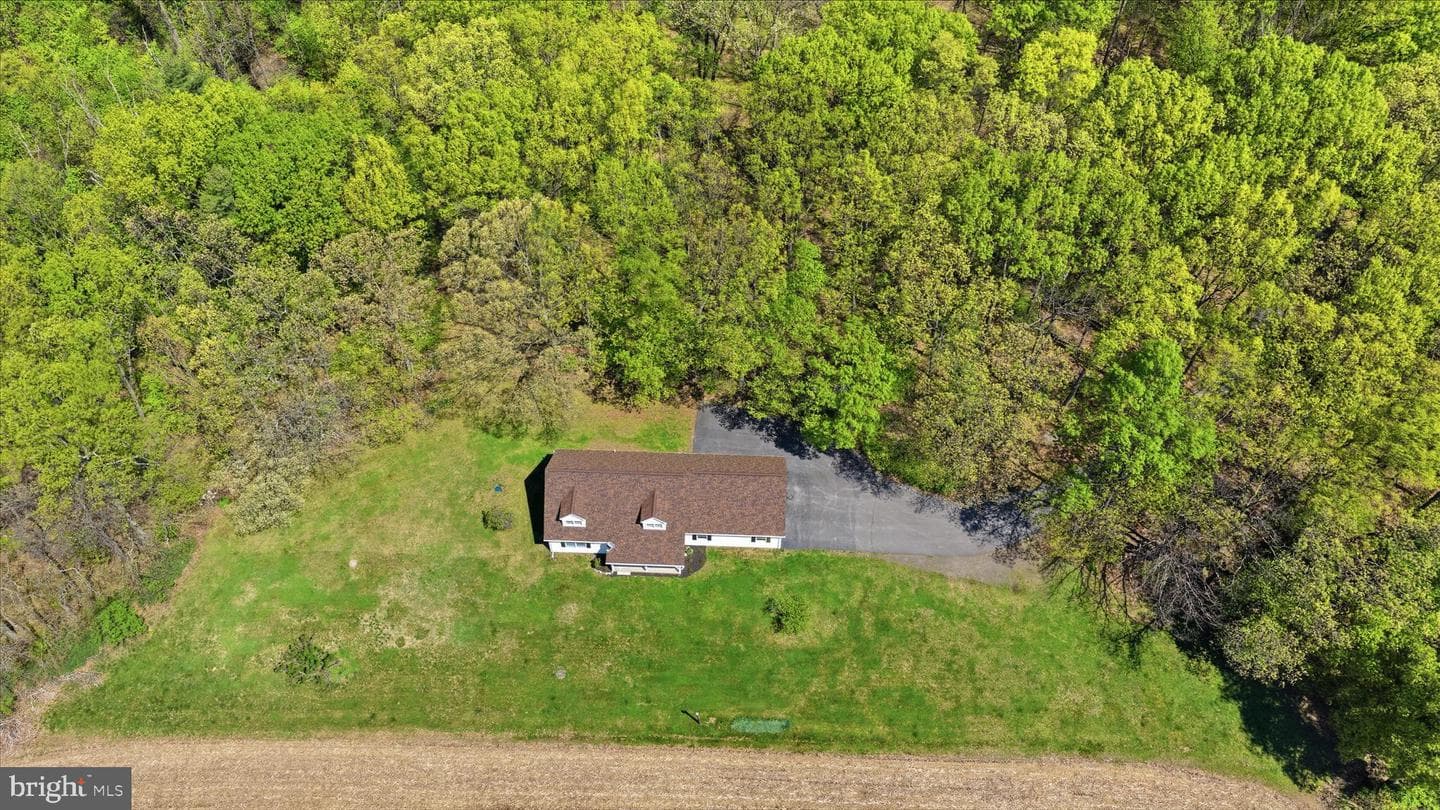954 Schuylkill Mountain Road photo 3