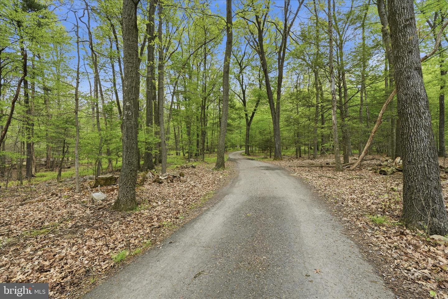 954 Schuylkill Mountain Road photo 38