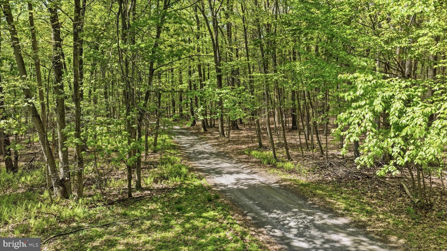 954 Schuylkill Mountain Road photo 39