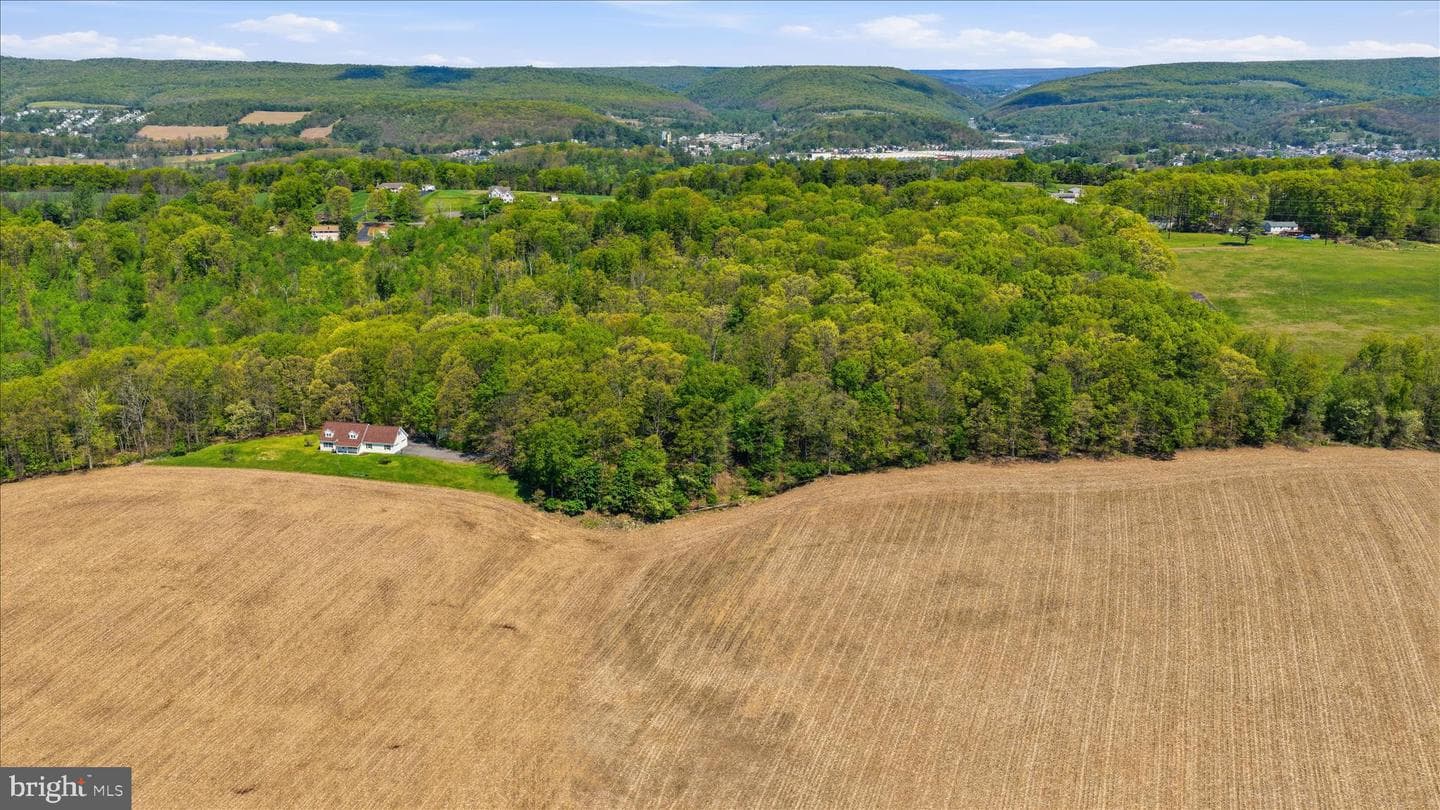 954 Schuylkill Mountain Road photo 40