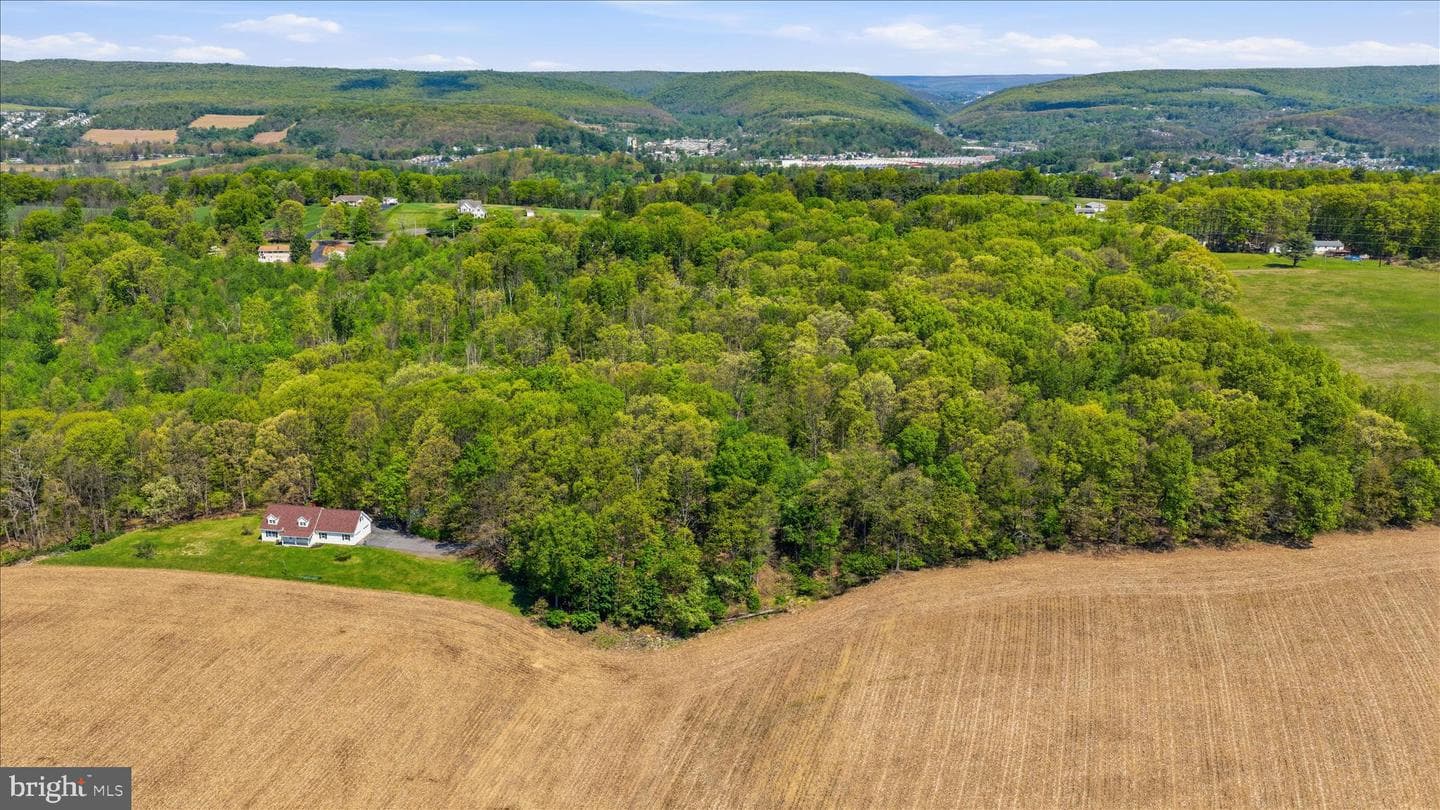 954 Schuylkill Mountain Road photo 41