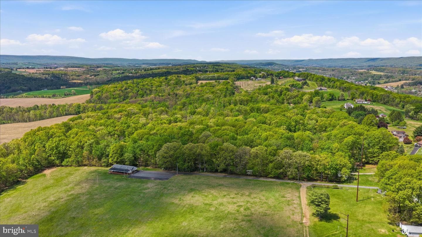 954 Schuylkill Mountain Road photo 43